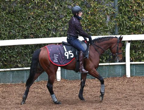 【毎日ベスト3】日刊スポーツdb班が選ぶ特注調教タイムベスト3 毎日ベスト3 競馬コラム写真ニュース 日刊スポーツ