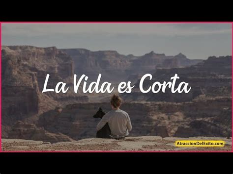 Reflexiones cristianas Descubre por qué la vida es tan corta y cómo