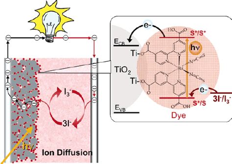 The dye sensitized solar cell [11]. | Download Scientific Diagram