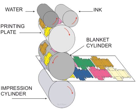 Offset Printing Process Steps