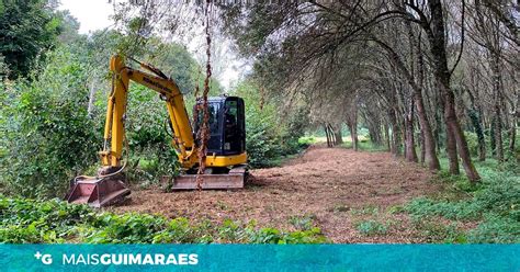 Trabalhos de limpeza para criação de ecovias já avançaram Mais Guimarães