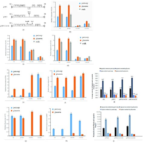 Determination Of Candidate Gene Expression And Capsaicin And Lignin