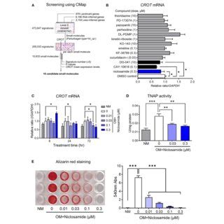 In Silico Screening And In Vitro Validation Of Candidate Small