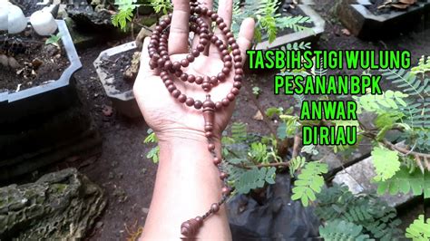 Proses Pembuatan Tasbih Stigi Wulung Tasbih Gelang Kayulangka YouTube