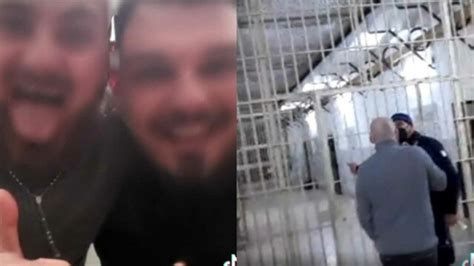 Video Virale Su Tiktok Dal Carcere Di Poggioreale Che Inneggia Alla