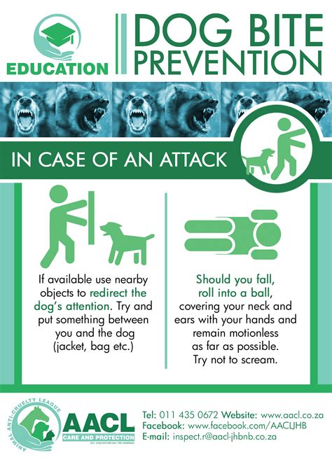 Dog Bite First Aid Drawing at Skye Zepps blog