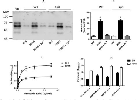 Figure From The Iron Regulated Surface Determinant B Isdb Protein