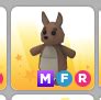 Mfr Kangaroo Roblox Adopt Me Ggmax