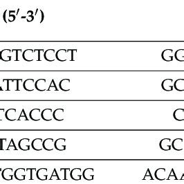 Target Genes QRT PCR Oligonucleotide Primers And Expected Amplicon