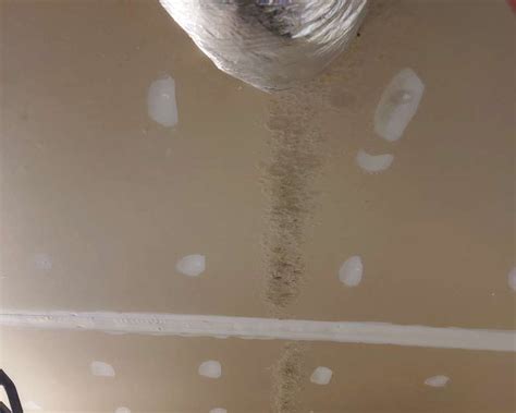 Water Stains On Ceiling Mean Mold | Shelly Lighting