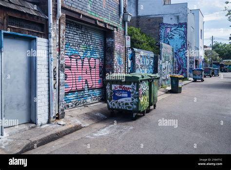 General Photos Of Newtown Sydney Showing Street Art Murals Sydney