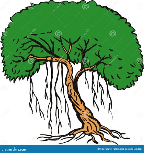 Tree with vines stock vector. Illustration of isolated - 6977592