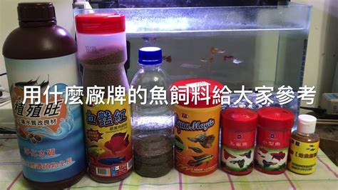 養魚先養水之簡單的餵魚方法及魚飼料分享篇 Youtube