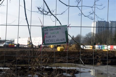 Kahlschlag In Kiel Straydok