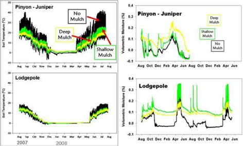 Soil Temperature And Soil Moisture At 5 Cm Below The Mineral Soil For