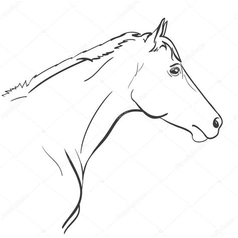 Horse head line art hand drawn illustration. vector Stock Vector Image by ©Ghenadie #122592374