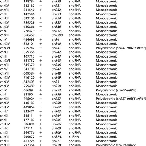 sn/snoRNA TSSs analyzed in this work | Download Scientific Diagram