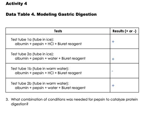 Solved Data Table 4 Modeling Gastric Digestion 3 What Chegg