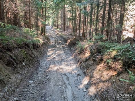 Zielony Szlak Rowerowy Nr Istebna Jaworzynka Koniak W