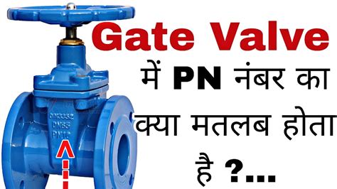 What Is The Meaning Of Pn Number In Gate Valve Pn