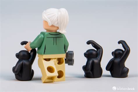 Lego Gwp 40530 Jane Goodall Tribute Tbb Review C91eg 13 The Brothers