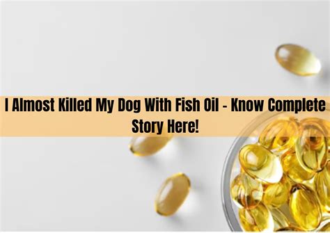 I Almost Killed My Dog With Fish Oil - Know Complete Story Here!