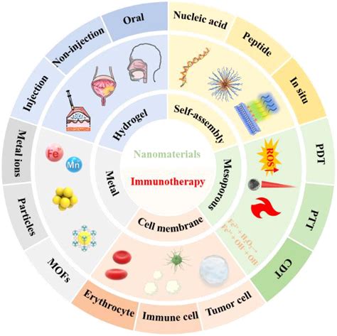 Frontiers Nanomaterials A Powerful Tool For Tumor Immunotherapy