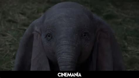 El Tr Iler Del Dumbo De Tim Burton Vuela Alto