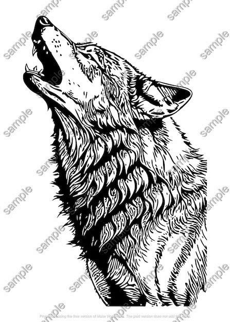 Premium Vector A Black And White Engraving Sketch Illustration Of A