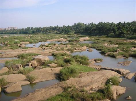 Tungabhadra River Landscape Of Tungabhadra River Bank Dharmesh