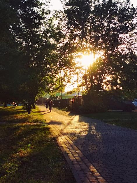 Premium Photo Sunset In The Park