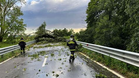 Maltempo In Lomellina Grandine E Vento Forte Danni In Citt