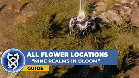 God Of War Ragnarok Flower Locations All 9 Flowers For Nine Realms