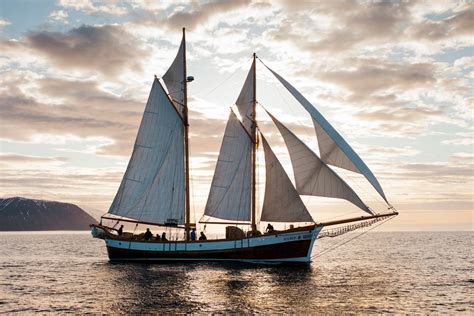 H Sav K Whale Watching By Traditional Wooden Sailing Ship Getyourguide