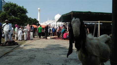 Masjid Agung Al Azhar Sembelih 12 Ekor Sapi Dan 148 Kambing