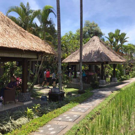 Bebek Tepi Sawah Ubud Ulasan Restoran TripAdvisor