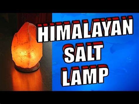 Fake Himalayan Salt Lamps Are Everywhere Heres How To Tell If Yours