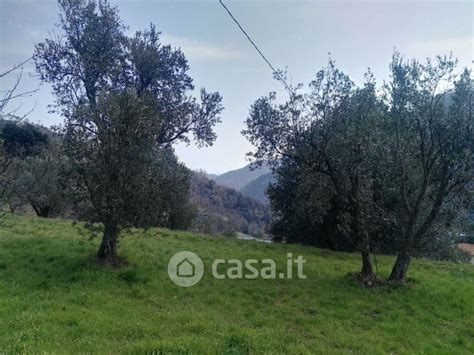 Terreni Agricoli In Vendita In Provincia Di Savona Casa It