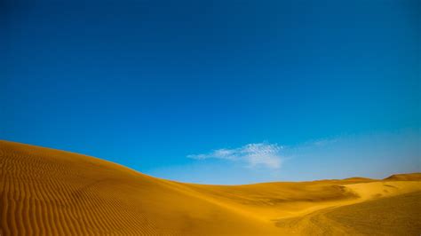 Landscape Sand Field Desert Sahara Plateau Steppe Grassland