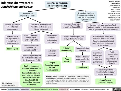 Infarctus Du Myocarde Ant C Dents M Dicaux Calgary Guide