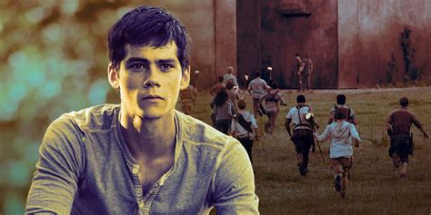 Why the Maze Runner Trilogy Deserves a Prequel Movie