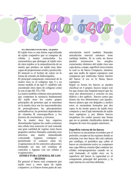 Resumen capítulo 8 Histología Texto y Atlas correlación con Biología