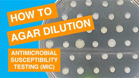 Agar Dilution Mic Susceptibility Test Method Youtube