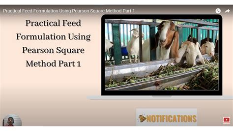 Practical Feed Formulation Using Pearson Square Method Part Youtube