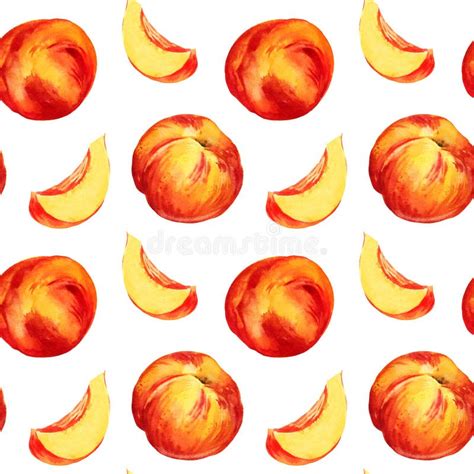 Watercolor Seamless Pattern With Summer Fruit Peach Or Apricot