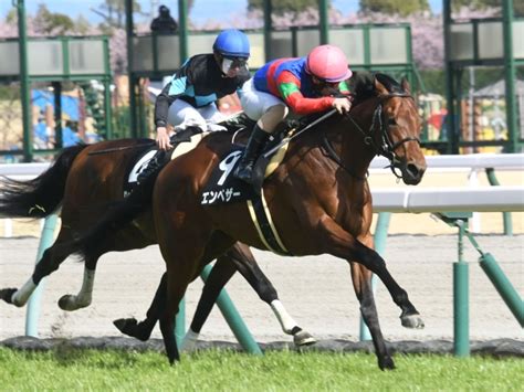 【フローラルウォーク賞結果】エンペザーが2番手から押し切り連勝 競馬ニュース Netkeiba