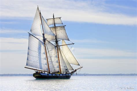 La Recouvrance Les Marinas De Brest