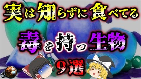 【ゆっくり解説】実は知られていない 誰もが食べているけど毒を持つヤバい生物 9選【食の雑学】【知られざる生物雑学】 Youtube