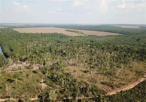 Ch Caras Venda Na Zona Rural Em Cl Udia Chaves Na M O