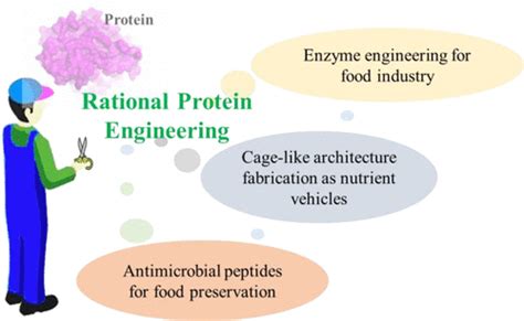 Advances In Rational Protein Engineering Toward Functional